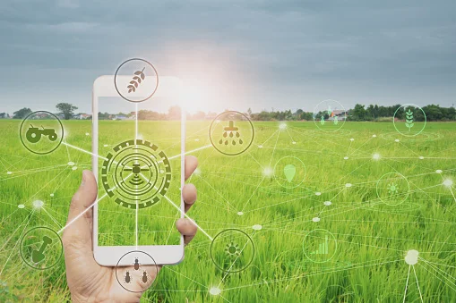 Modern agriculture