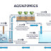 How to build an indoor Aquaponics system (2024)