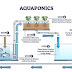 Top Types of Aquaponic Systems Explained